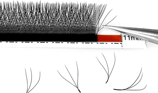 W Lash Extensions: Your Secret to Mesmerizing Eyes