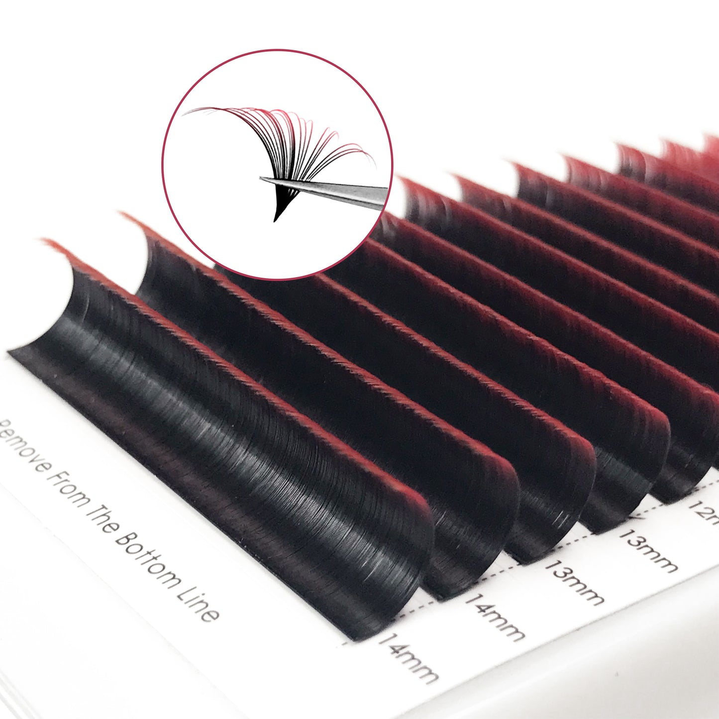 Easy Fans Ombre Colored Lash Extensions