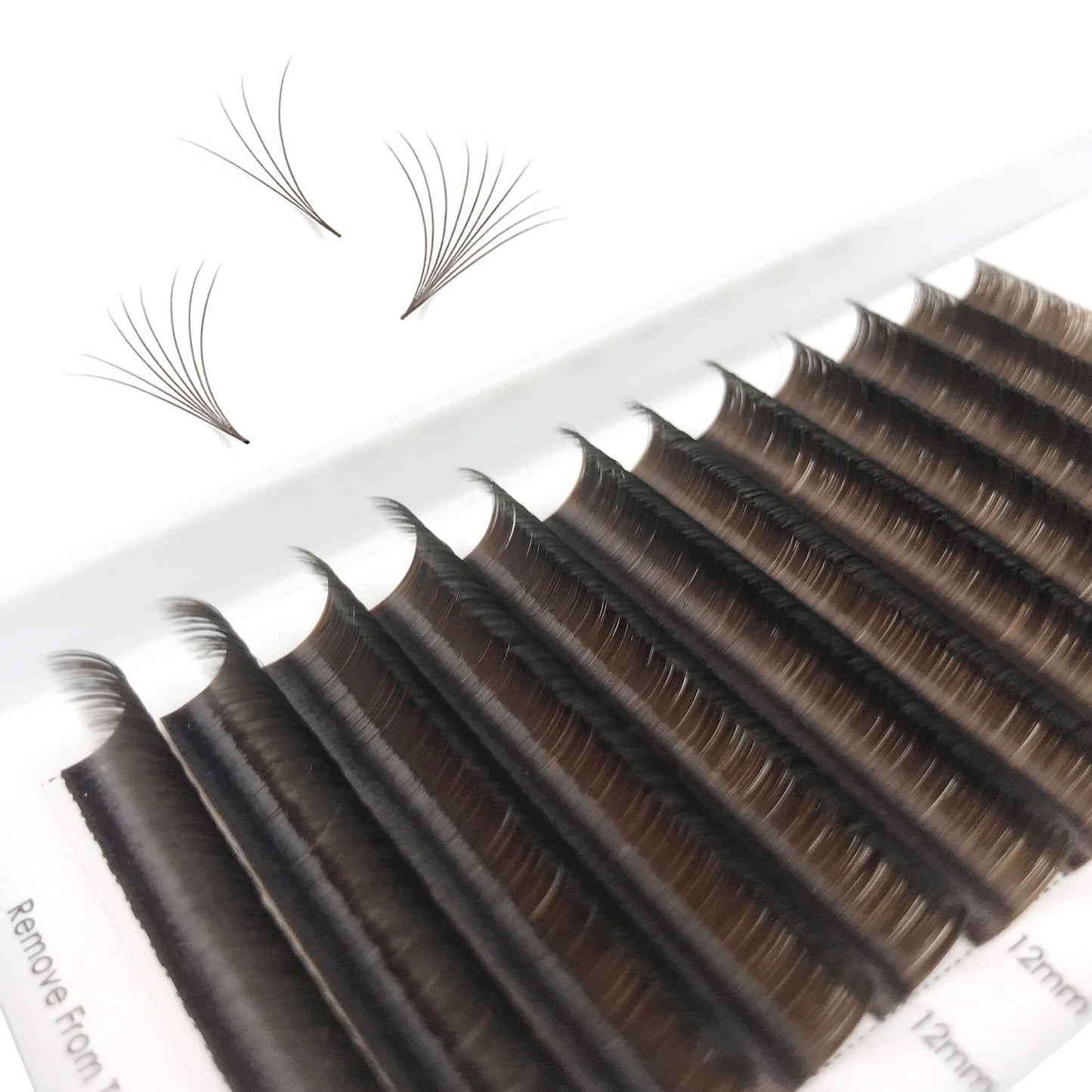 Brown Easy Fans Lash Extensions 0.07