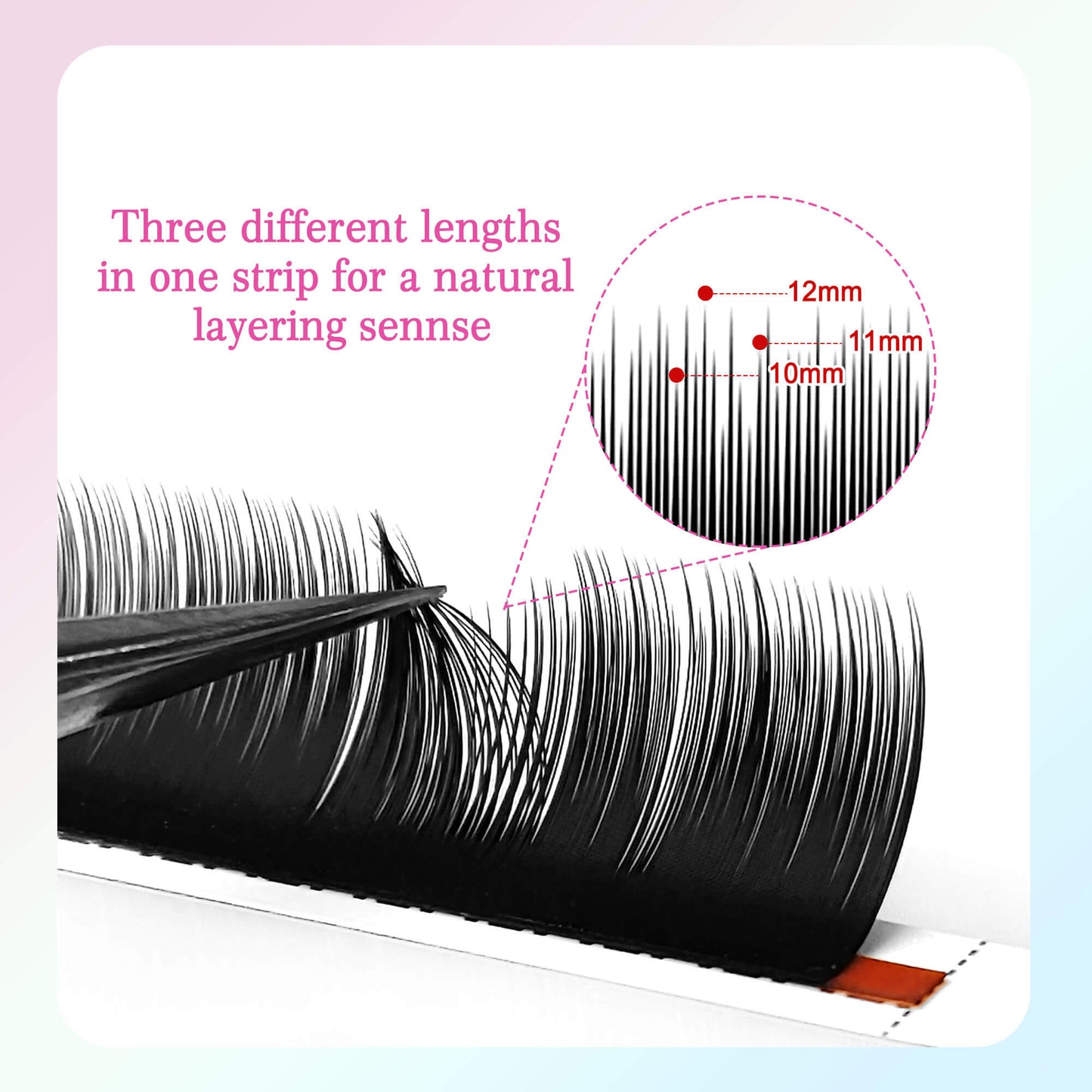 Premium Camellia Lash Extensions Wispy Volume