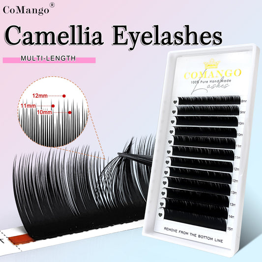 Camellia Lashes: The Secret to Effortless Wispy Volume Lash Sets