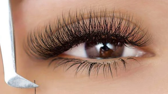 How to Apply Bottom Lash Extensions (Step-by-Step Guide)