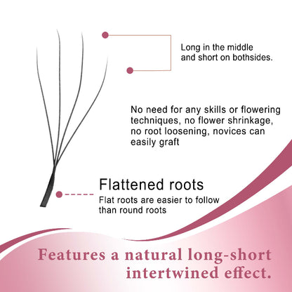 4DW Camellia Narrow Lash Extensions 0.07